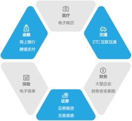 江南天安 密码技术与信息安全综合服务商的领军者